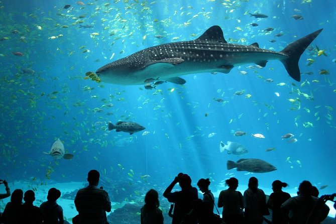 SEA LIFE Ocean World at Bangkok Admission Ticket - Key Things That Make This Aquarium Ticket Worth It