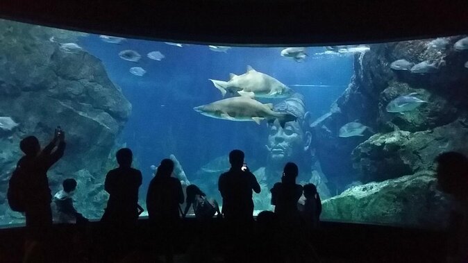 SEA LIFE Ocean World at Bangkok Admission Ticket - SEA LIFE Ocean World Bangkok, Right Beneath Siam Paragon