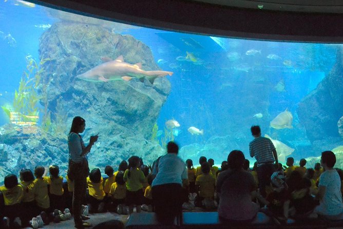 SEA LIFE Ocean World at Bangkok Admission Ticket - Your Walk Through 7 Exhibits, From Deep Reef to Living Ocean