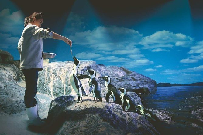 SEA LIFE Ocean World at Bangkok Admission Ticket - Interactive Areas and Family-Friendly Energy