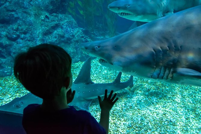 SEA LIFE Ocean World at Bangkok Admission Ticket - Value Check: Is $62.93 Worth It?