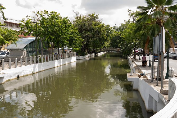 See Bangkok your way with a Personal Private Tour Guide - Markets, street life, and flower stops: Chatuchak, Chinatown, floating markets, and more