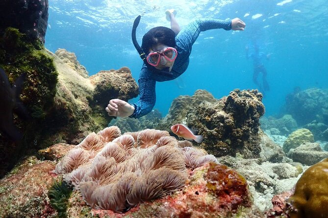 Snorkeling Full Day Experience from Bangkok - Key highlights