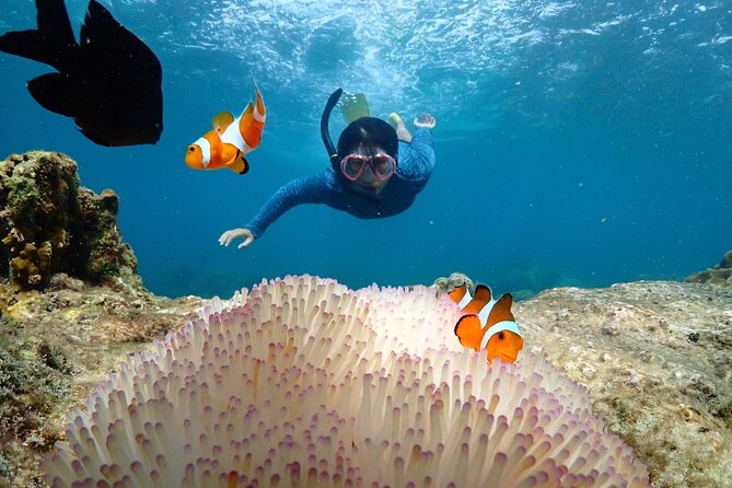 Snorkeling Full Day Experience from Bangkok - Bangkok to Samaesarn Bay in 8 to 9 hours