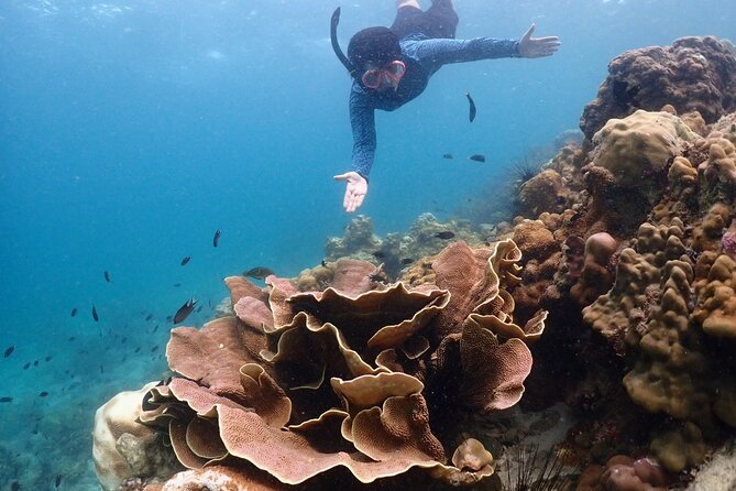 Snorkeling Full Day Experience from Bangkok - Sattahip Naval Base market stop for local food and souvenirs