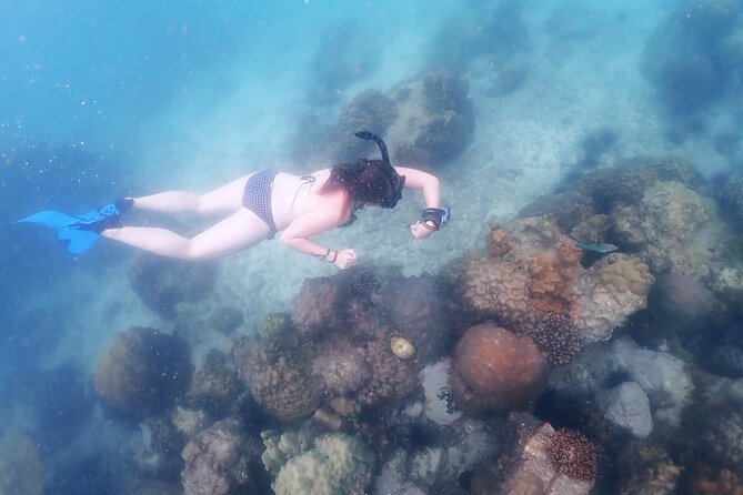 Snorkeling Full Day Experience from Bangkok - Who this Bangkok snorkeling day trip fits best