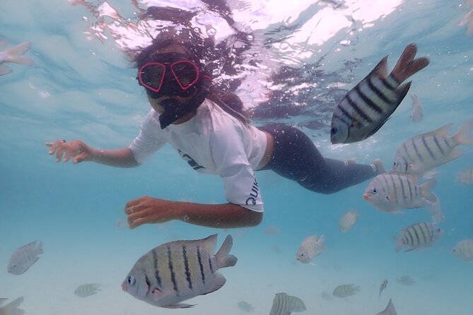 Snorkeling Full Day Experience from Bangkok - Should you book this snorkeling full day from Bangkok?