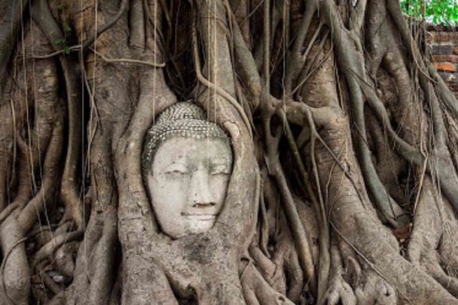 Temples of Ayutthaya Day Tour from Bangkok - A Morning River Run to Siam’s Ancient Capital