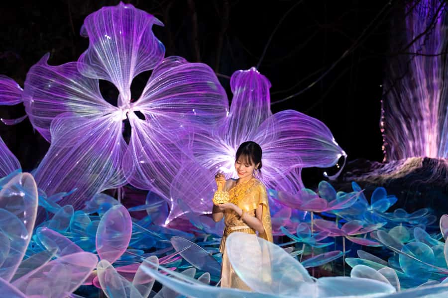 The Lens: Once-a-Year Moment at Na Satta Park Light Festival - Maeklong Railway Market: the train moment you must time