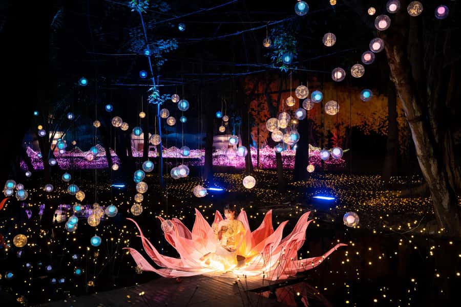 The Lens: Once-a-Year Moment at Na Satta Park Light Festival - Na Satta Park Light Festival: how to shoot at night without fighting the darkness