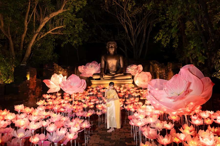 The Lens: Once-a-Year Moment at Na Satta Park Light Festival - Who the day trip really suits (and who should think twice)