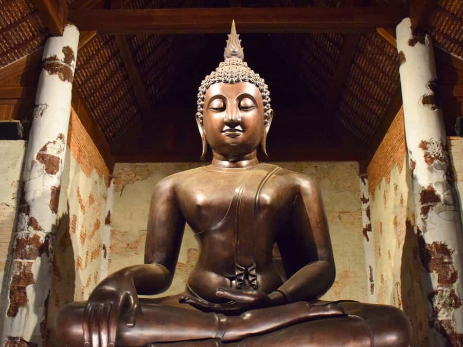 The Souls BKK: Floating Market, Dragon Temple, Na Satta Park - Who this tour fits best, and who should skip it