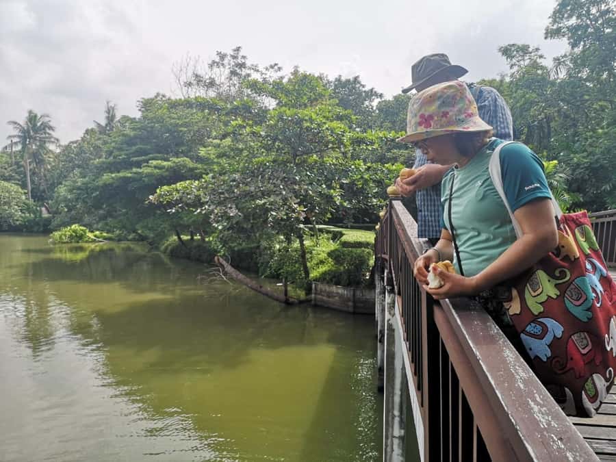 Tuk-Tuk, Longtail-boat and Rickshaw Bangkok jungle Tour - Who this tour is best for (and who might want something else)