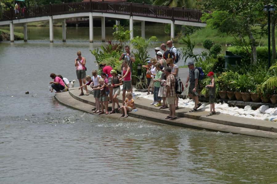 Tuk-Tuk, Longtail-boat and Rickshaw Bangkok jungle Tour - Bang Nam Phueng floating market, only on weekends and national holidays