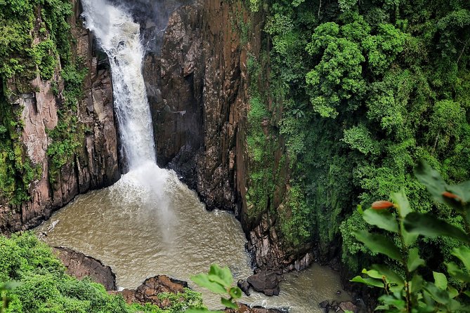 UNESCO Khao Yai National Park Adventure: Hiking & Waterfalls - What You Really Get for $116.42: Value That Starts With the Ride