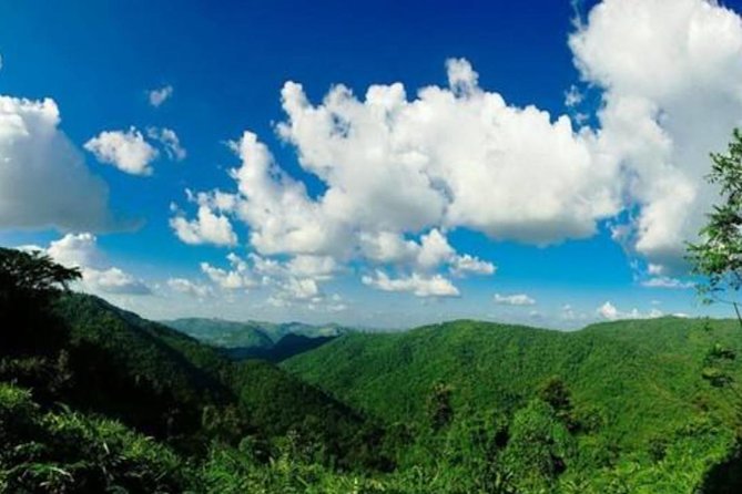 UNESCO Khao Yai National Park Adventure: Hiking & Waterfalls - Small-Group Pacing: Less Chaos, More Questions