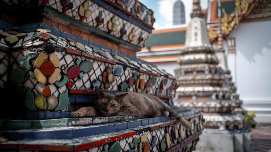 Walking tour Grand Palace, Emerald Buddha, Wat Pho, Wat Arun - Optional Wat Paknam Phasi Charoen and a canal long-tail boat