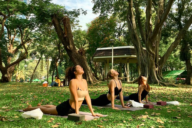 Yoga in the Park Thailand - The 90 Minutes Breakdown: Meditation, Pranayama, and Asana Flows